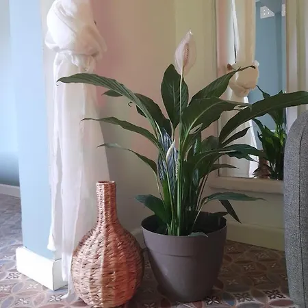 Boho Pensjonat